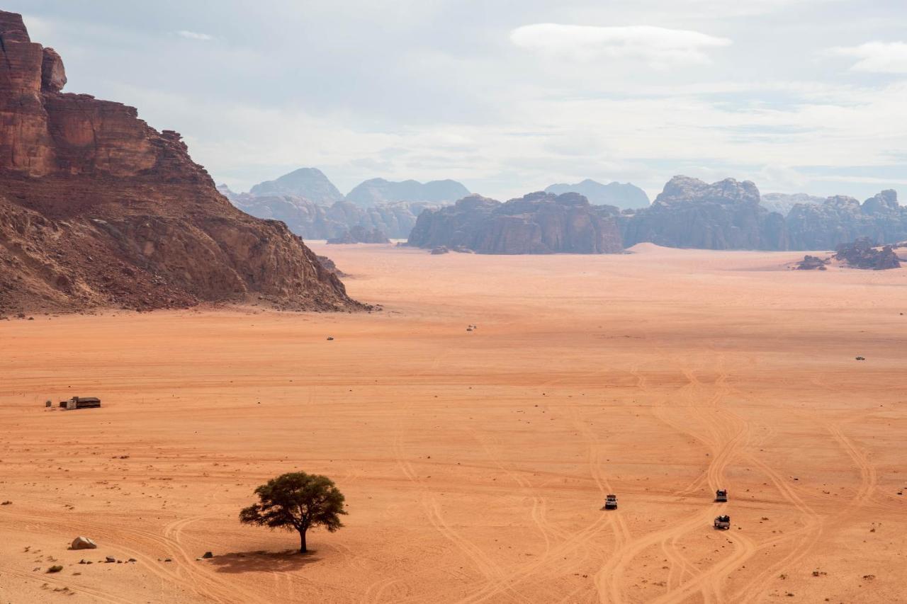 Wadi Rum Nights Exteriör bild