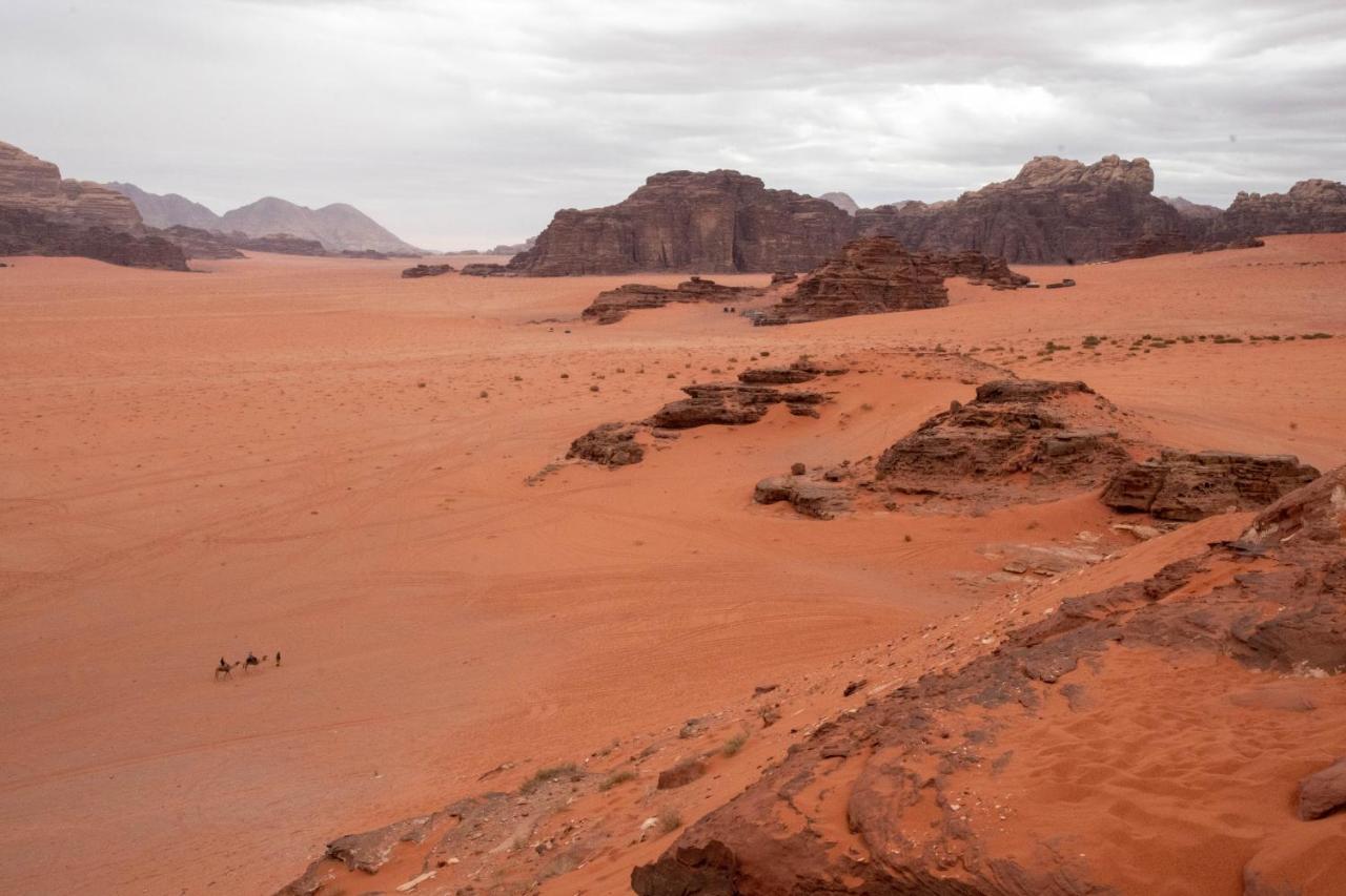 Wadi Rum Nights Exteriör bild